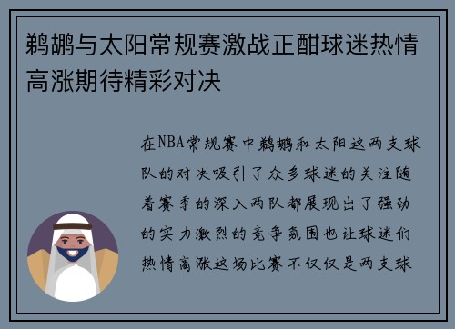 鹈鹕与太阳常规赛激战正酣球迷热情高涨期待精彩对决