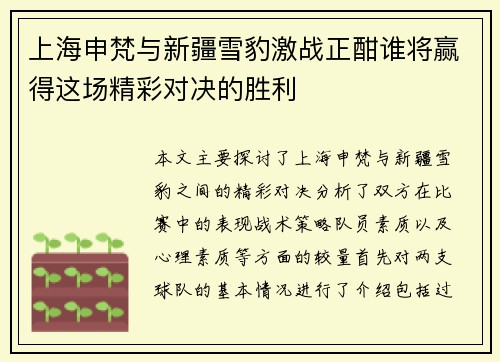 上海申梵与新疆雪豹激战正酣谁将赢得这场精彩对决的胜利